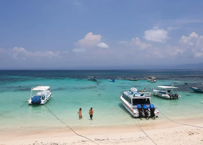 Castaway Island ホステル
